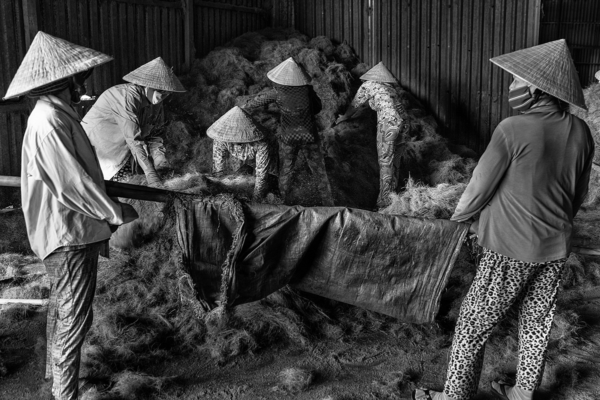 Factory workers gather coconut husk fibres that are carried outside to be dried in the sun