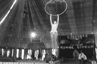acrobat  hoops