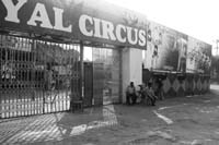 Royal circus gate