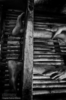 IngetjeTadros_Caged Humans In Bali_17