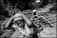 Women on their way home with the firewood they collected in the forest.